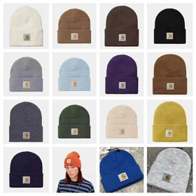 Carhartt Hut (16 Stil)  